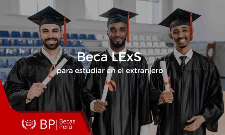 Beca de Excelencia Universitaria en Leiden