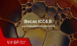 Becas ICGEB