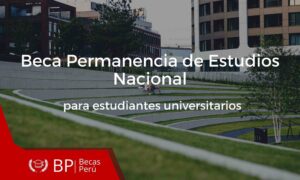 Beca Permanencia de Estudios Nacional para estudiantes universitarios