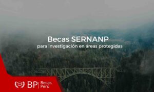 Becas SERNANP para la investigación de áreas protegidas