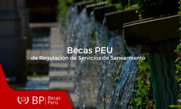 Beca PEU de regulación de Servicios de Saneamiento