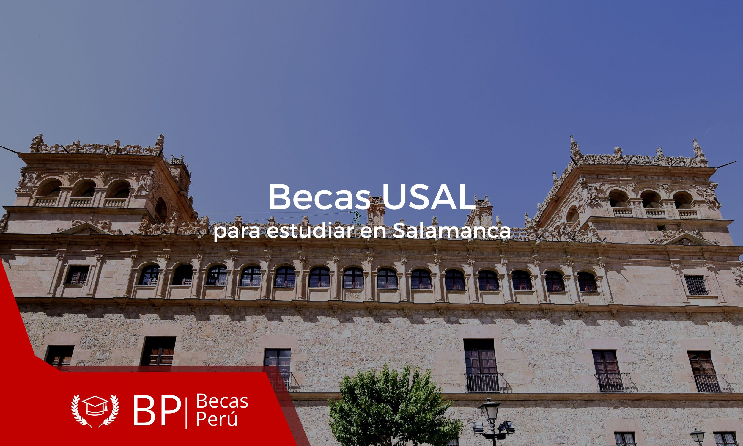 Las becas de la Universidad de Salamanca 2024 para estudiantes